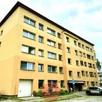 Rent 1 bedroom apartment in Frýdek - Místek