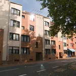 Rent 1 bedroom apartment of 48 m² in Bonn