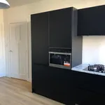 Huur 3 slaapkamer appartement van 85 m² in Den Haag