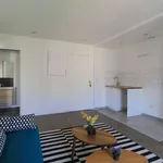 Rent 1 bedroom apartment in paris