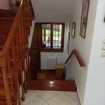 Rent 7 bedroom house of 270 m² in Municipal Unit of Anthidon