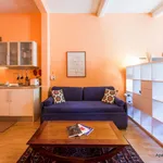 Rent 1 bedroom apartment of 49 m² in Florence