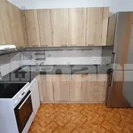 Pronajměte si 4 ložnic/e byt o rozloze 80 m² v Prague