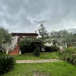 Rent 4 bedroom house of 385 m² in Messina