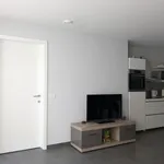 Rent 1 bedroom apartment in Gentbrugge