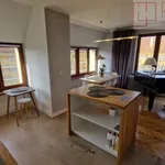 Rent 2 bedroom apartment of 62 m² in Szczecin