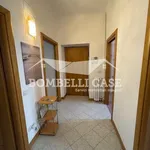 Rent 2 bedroom apartment of 74 m² in Milano