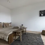 Rent 3 bedroom apartment of 113 m² in Utrecht