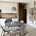 Rent 2 bedroom apartment of 55 m² in Brno