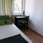 Rent a room in warsaw