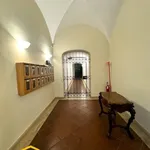 Rent 1 bedroom house of 45 m² in Rome