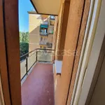 Rent 3 bedroom apartment of 75 m² in Bologna