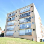 Rent 1 bedroom apartment of 37 m² in LIMOGEST