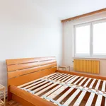 Rent 2 bedroom apartment in Praha 4