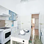 Rent 1 bedroom apartment of 80 m² in Rome