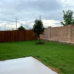 Rent 3 bedroom house in Collin