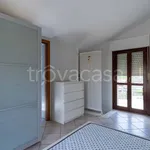 Rent 3 bedroom apartment of 60 m² in Empoli