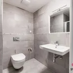 Rent 1 bedroom apartment of 34 m² in Prague