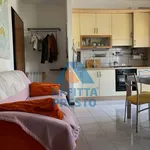 Rent 2 bedroom apartment of 50 m² in Florence