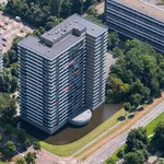 Huur 3 slaapkamer appartement van 100 m² in Kleurenbuurt