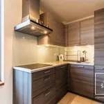 Rent 3 bedroom apartment in Capital City of Prague