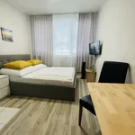 Miete 1 Schlafzimmer wohnung von 19 m² in Mainz