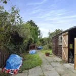 Rent 3 bedroom house in East Of England