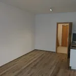 Rent 1 bedroom apartment in  Prosek                        					