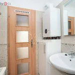 Rent 3 bedroom apartment of 51 m² in Praha