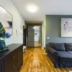 Rent 2 bedroom apartment of 45 m² in Wrocław