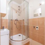 Rent 2 bedroom apartment in Kralupy nad Vltavou