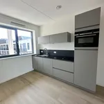 Rent 3 bedroom apartment of 90 m² in Binnenstad