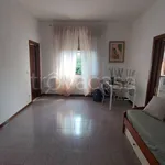 Rent 3 bedroom apartment of 70 m² in Padova