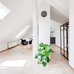 Studio of 55 m² in prague