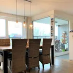 Rent 1 bedroom apartment in Ghent