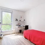 Rent 18 bedroom apartment in lisbon