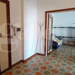 Rent 3 bedroom apartment of 68 m² in Nettuno