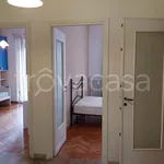 Rent 3 bedroom apartment of 80 m² in Torino