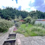 Rent 3 bedroom house in East Of England