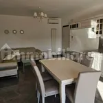 Rent 3 bedroom apartment of 110 m² in Montepaone Lido