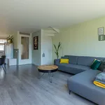 Rent 5 bedroom house of 128 m² in Haarlem