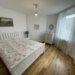 Miete 5 Schlafzimmer wohnung von 240 m² in Vienna