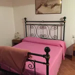 Rent 1 bedroom apartment of 30 m² in Pisa