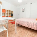 Rent 5 bedroom apartment in Valencia