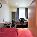 Rent 1 bedroom apartment in Gent