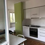 Rent 1 bedroom apartment of 45 m² in Turin