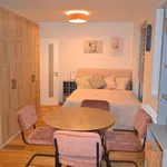 Rent 1 bedroom apartment of 38 m² in Capital City of Prague