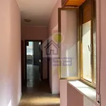 Rent 1 bedroom apartment of 80 m² in Cremona