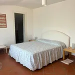 Rent 2 bedroom apartment of 45 m² in Roma