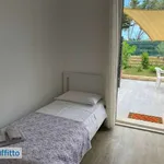 Rent 4 bedroom apartment of 65 m² in Noto